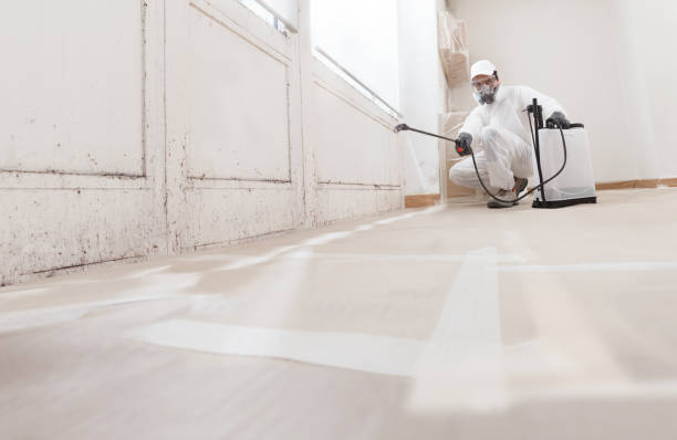 24/7 Emergency Mold Cleanup experts in Millington, NJ